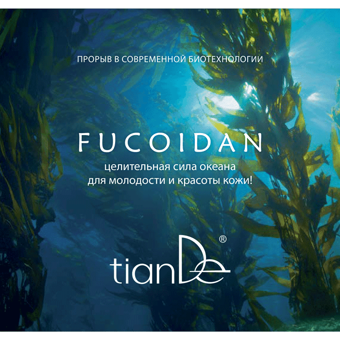 Брошюра «Fucoidan: целительная сила океана для молодости и красоты кожи!»