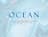 Ocean Riches