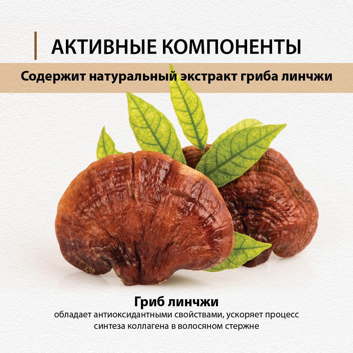 Бальзам для волос, укрепляющий корни, с экстрактом гриба линчжи - view 4