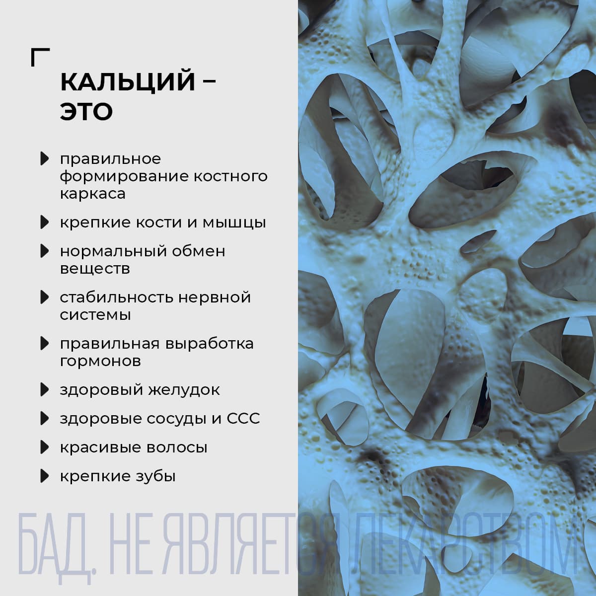 Функциональный комплекс «Кальцемарин» - view 6