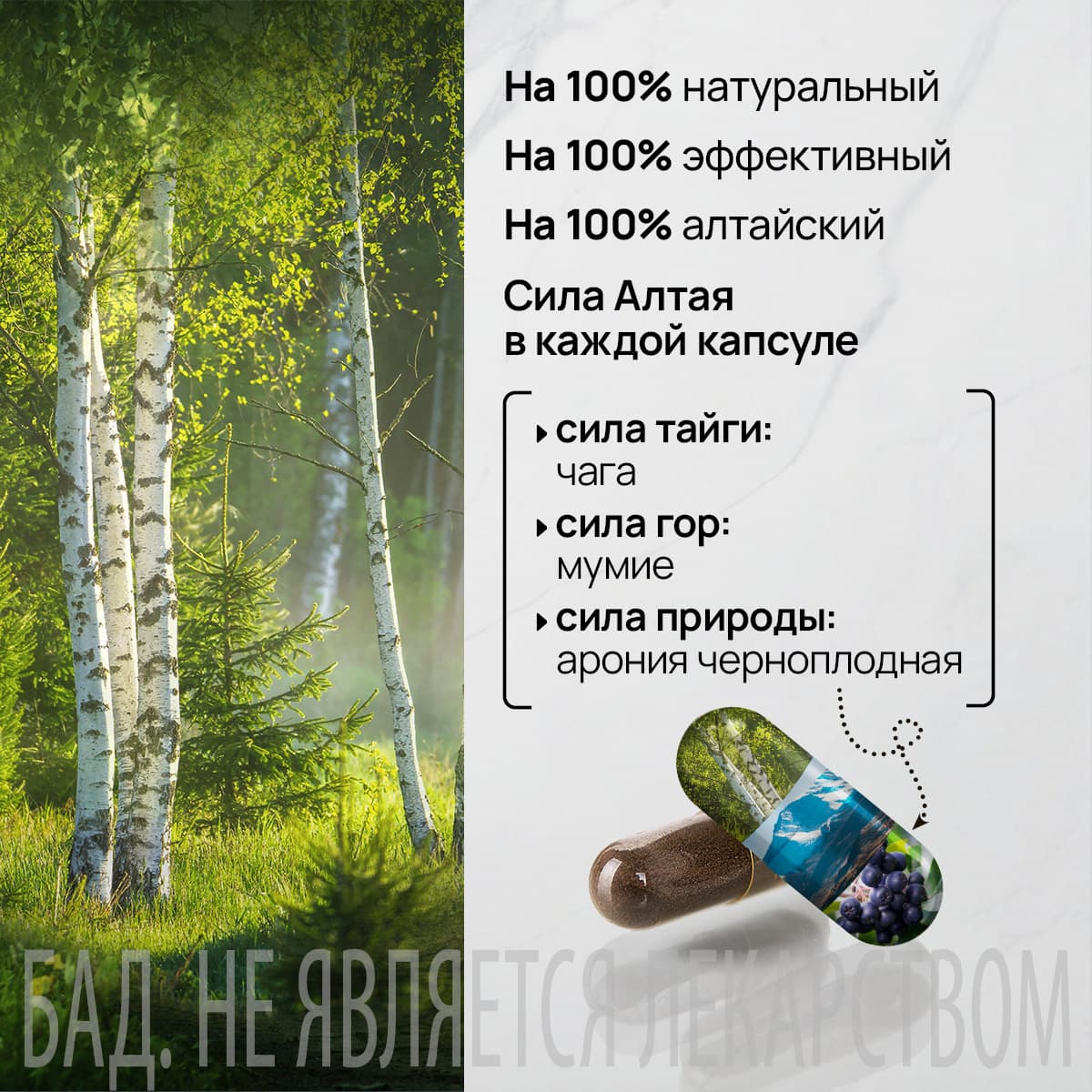 БАД «Чага и мумие» - view 4