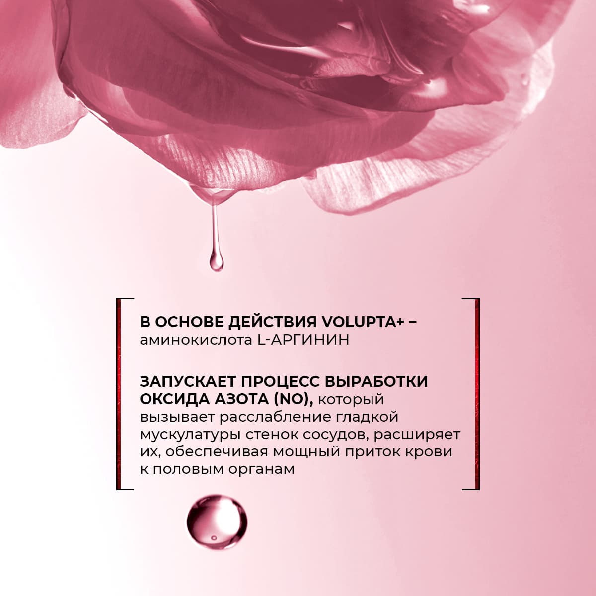 Volupta+ для женщин - view 5