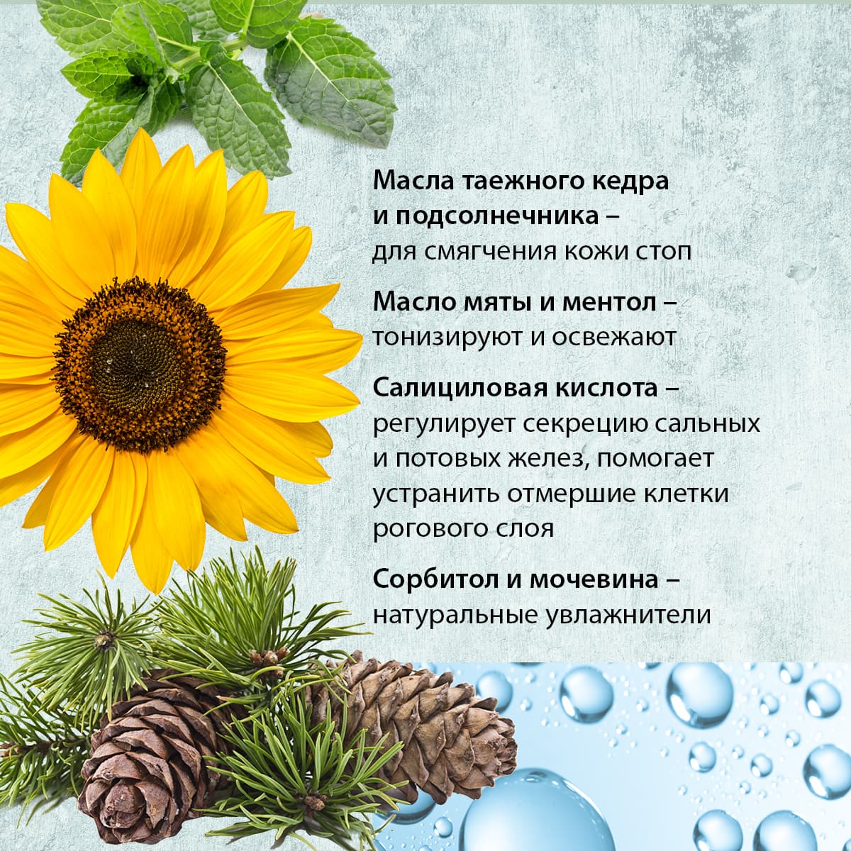 Фитокрем для ног «Свежесть и увлажнение» - view 3