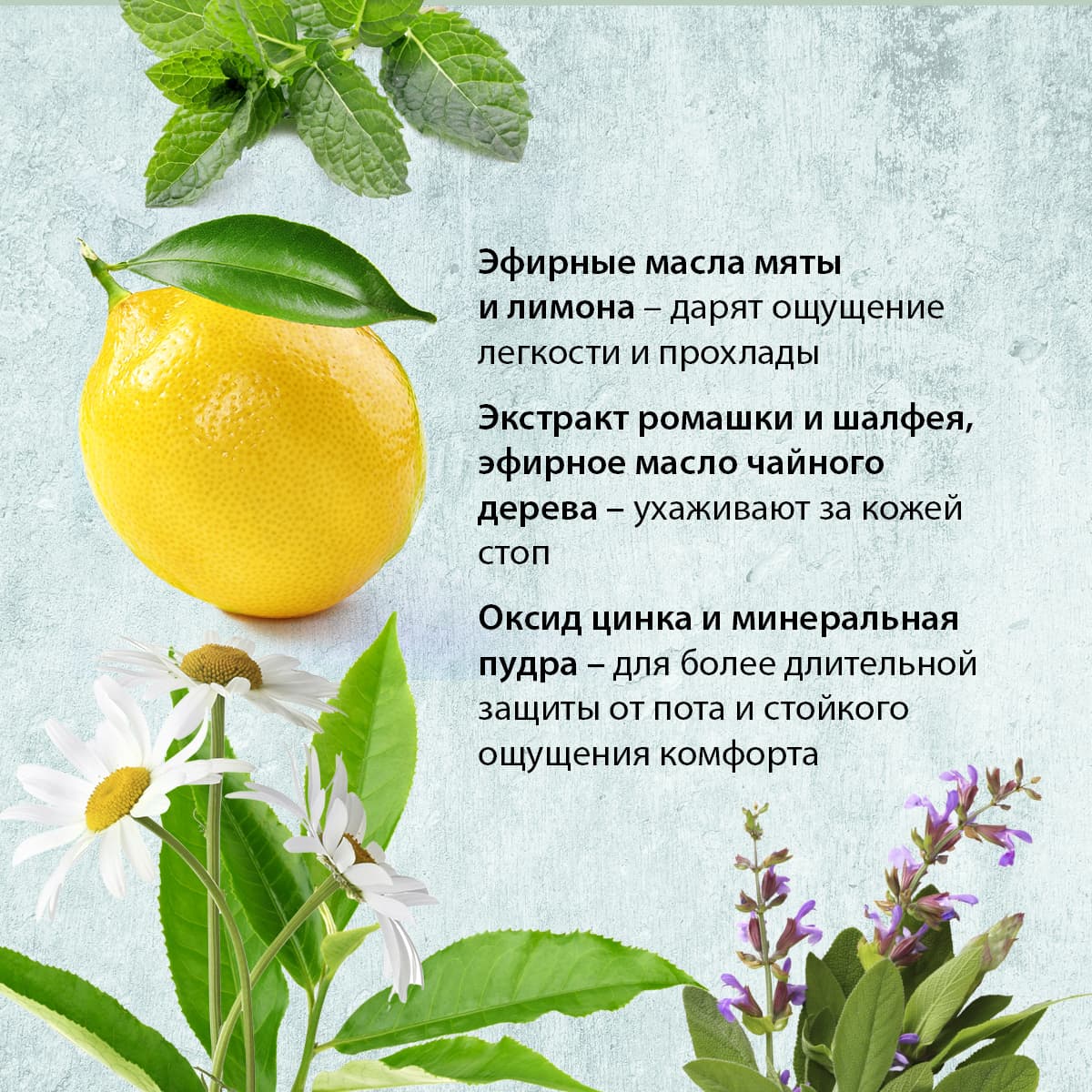 Фитокрем-дезодорант для ног - view 3