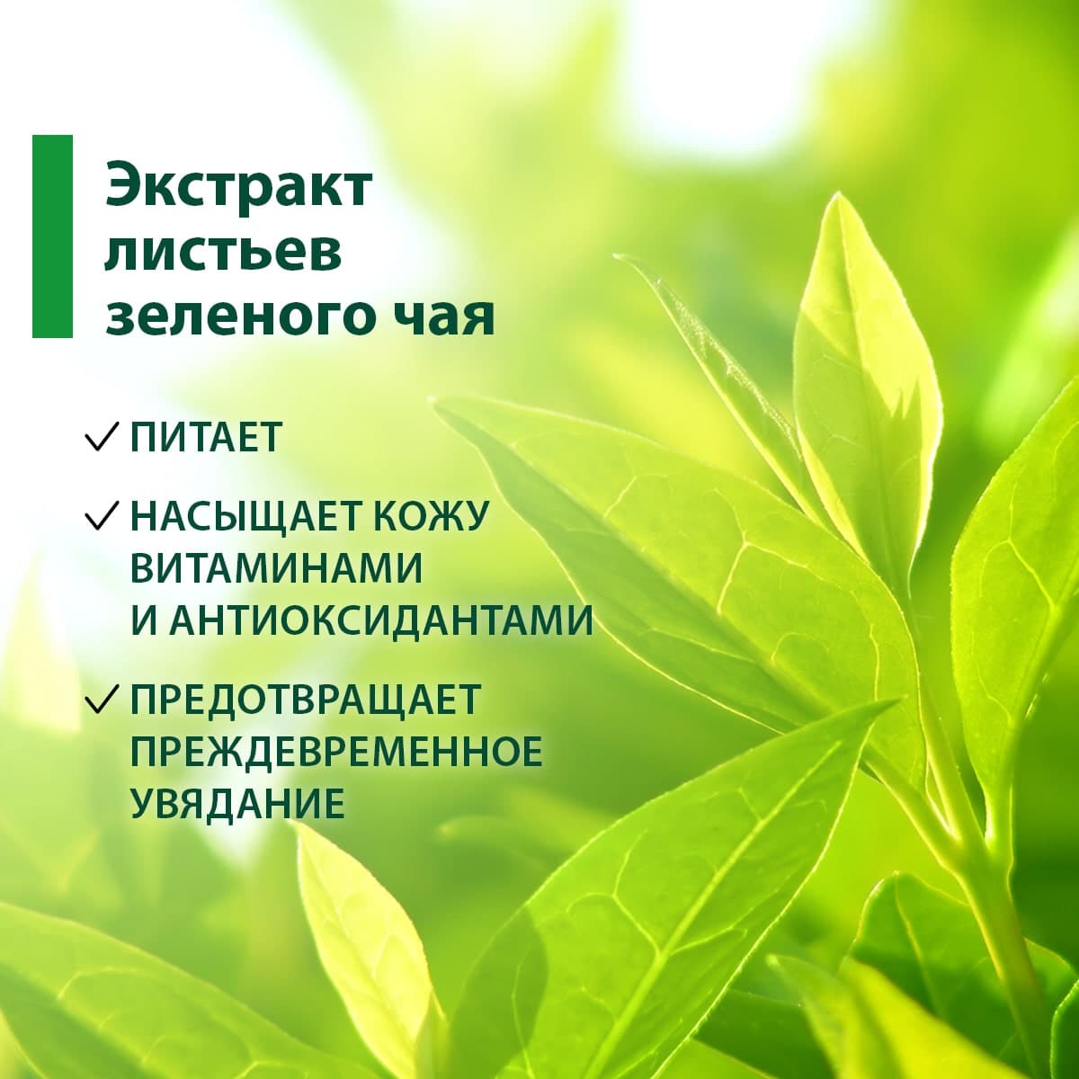 Соль для тела "Зеленый чай" SPA technology - view 4