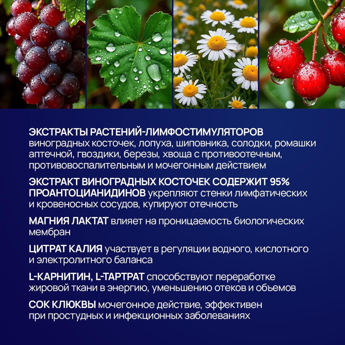 Концентрат для напитка «Лимфобаланс» - view 4
