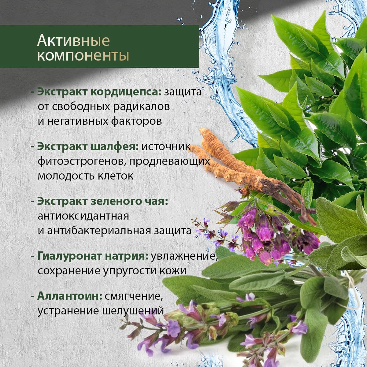 Крем для лица c кордицепсом и шалфеем - view 3