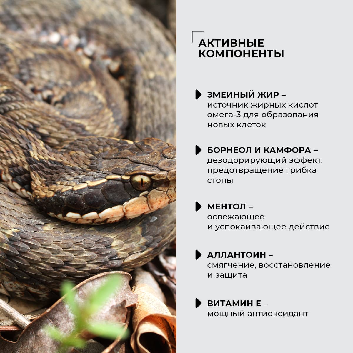 Профилактический крем для ног со змеиным жиром - view 4